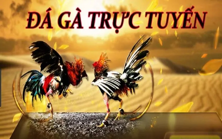 Đá Gà 789Club Hấp Dẫn Tại Casino Online Đỉnh Cao