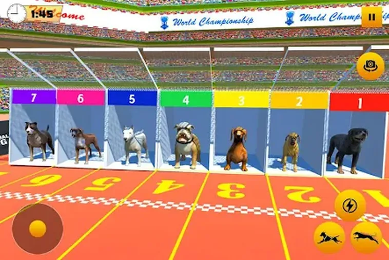 Chinh Phục Game Nhanh Đua Chó Tại 789Club Với Chiến Lược Hiệu Quả